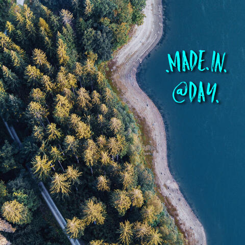 Made In A Day
