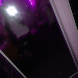 Bounce Bounce