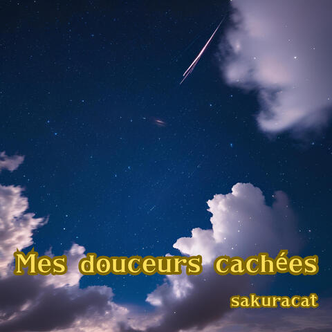 Mes douceurs cachées