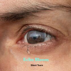 Silent Tears
