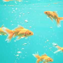 Mutual understanding leads to mutual support