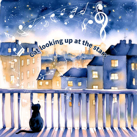 Cat looking up at the stars