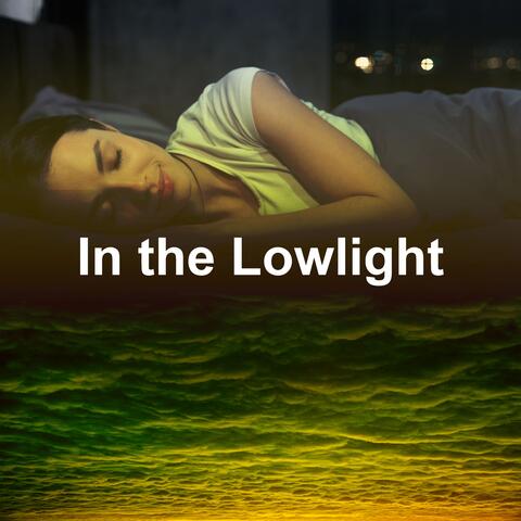 In the Lowlight