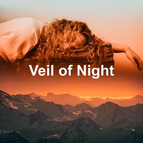 Veil of Night