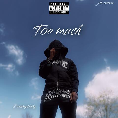 Too Much (am Version)