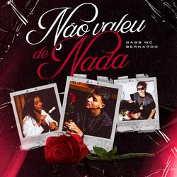 Não Valeu de Nada