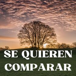 Se quieren comparar