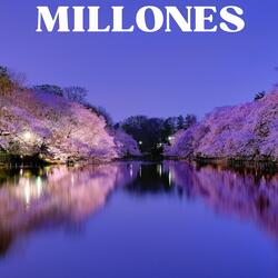 Millones