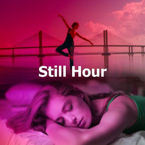 Still Hour