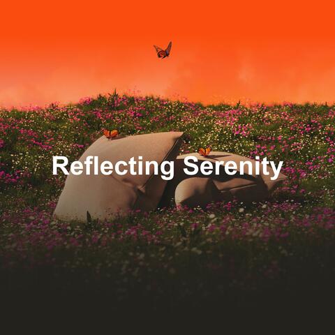 Reflecting Serenity
