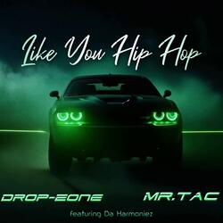 Like You Hip Hop