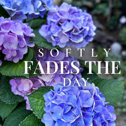 Softly Fades the Day