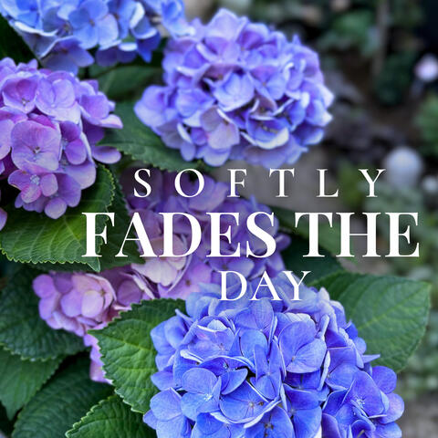 Softly Fades the Day