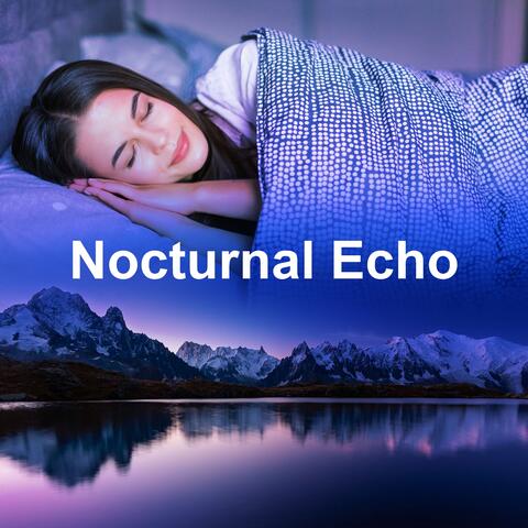 Nocturnal Echo
