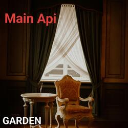 Main Api