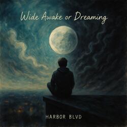 Wide awake or Dreaming