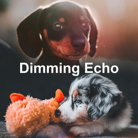 Dimming Echo