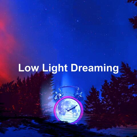 Low Light Dreaming
