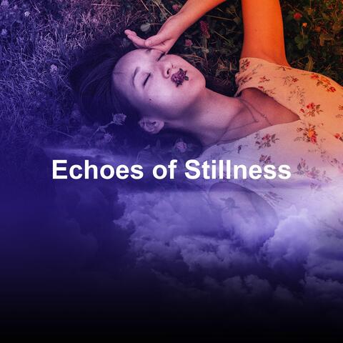 Echoes of Stillness