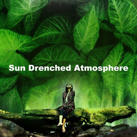 Sun Drenched Atmosphere