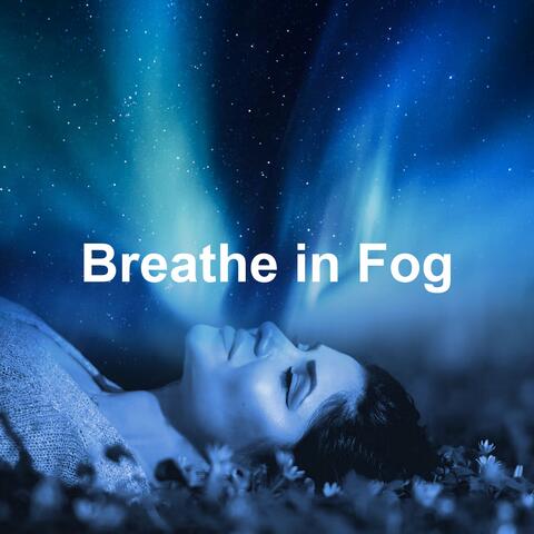 Breathe in Fog