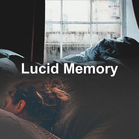 Lucid Memory