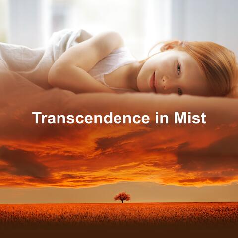 Transcendence in Mist