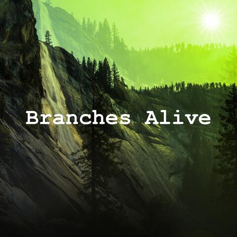 Branches Alive