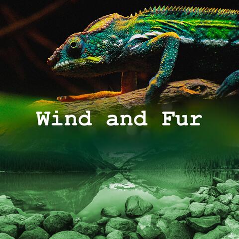 Wind and Fur