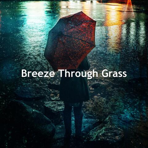 Breeze Through Grass