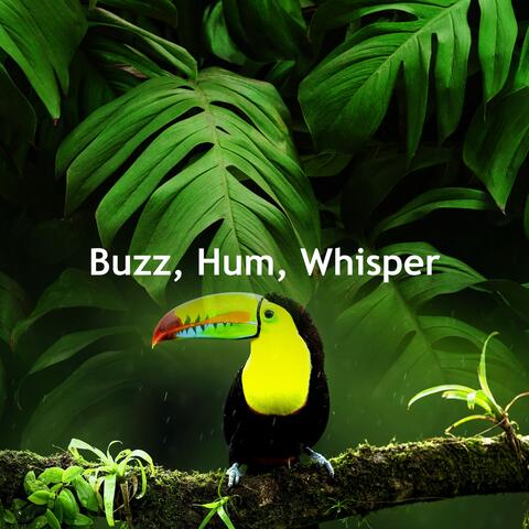 Buzz, Hum, Whisper