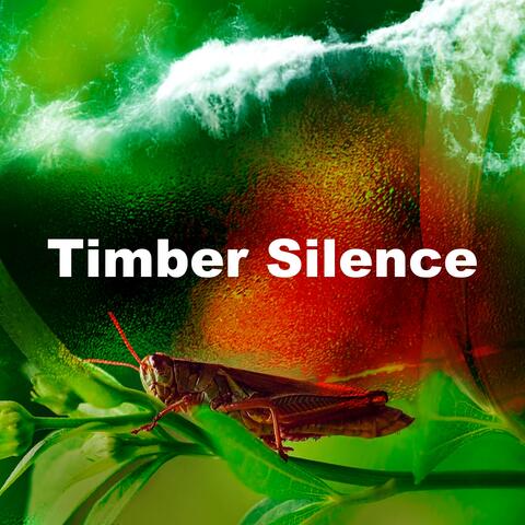 Timber Silence