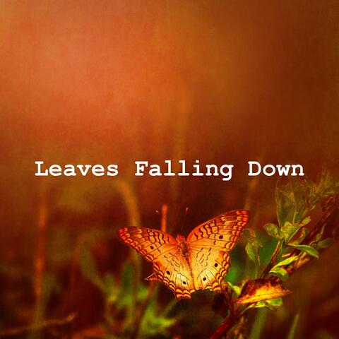 Leaves Falling Down