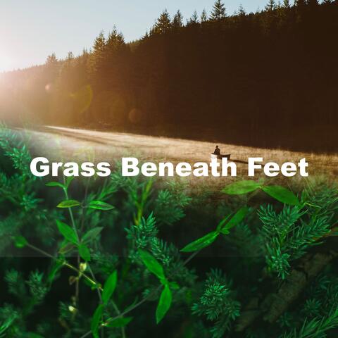Grass Beneath Feet