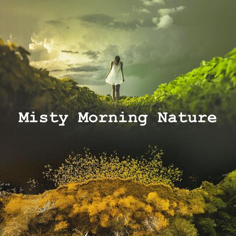 Misty Morning Nature