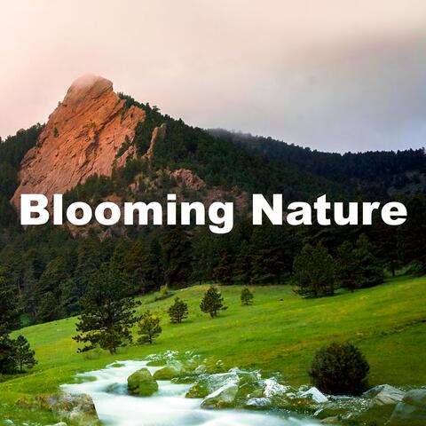 Blooming Nature