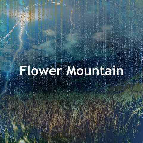 Flower Mountain