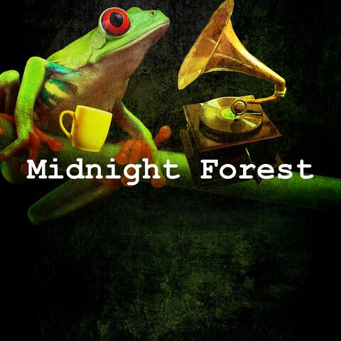 Midnight Forest