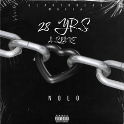 Rose From The Concrete