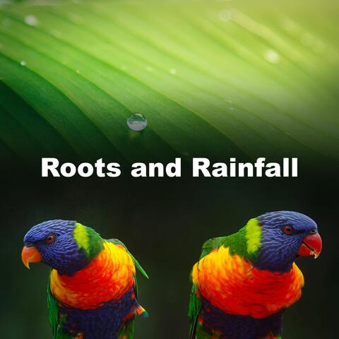 Roots and Rainfall