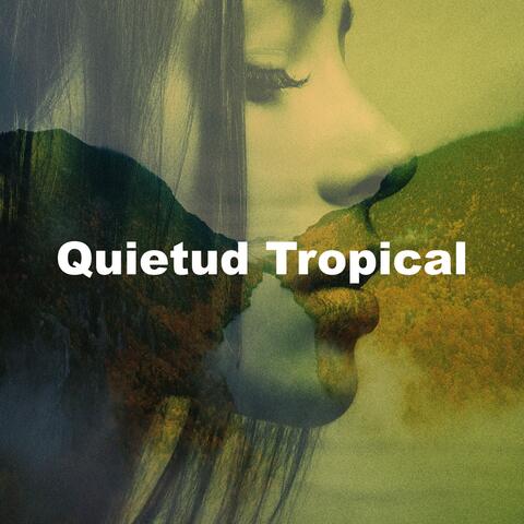 Quietud Tropical