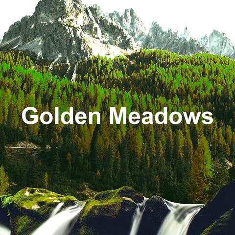 Golden Meadows