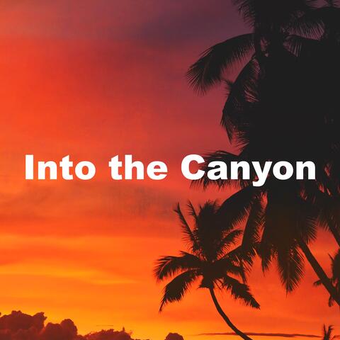 Into the Canyon