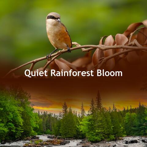 Quiet Rainforest Bloom