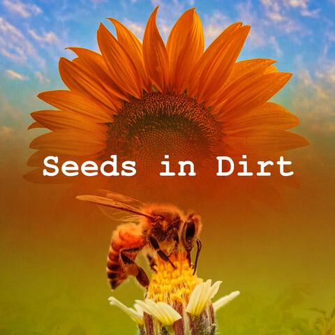 Seeds in Dirt