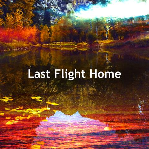 Last Flight Home