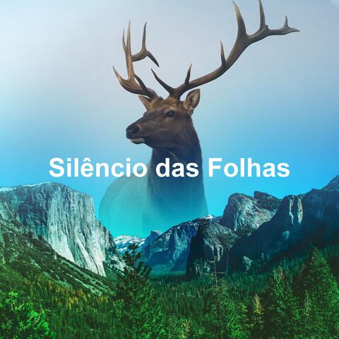 Silêncio das Folhas