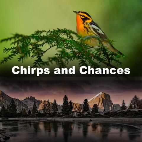 Chirps and Chances