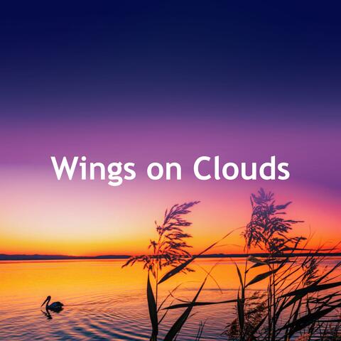 Wings on Clouds