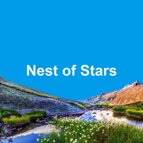 Nest of Stars